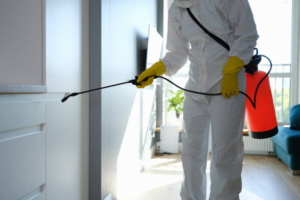 Crawl Space Mold Removal in West Wendover, NV